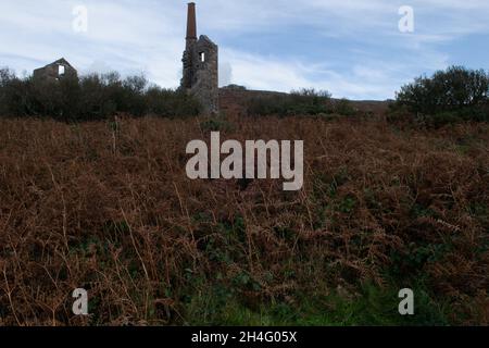 Carn Galver Mine, Penwith, Cornwall, Großbritannien Stockfoto