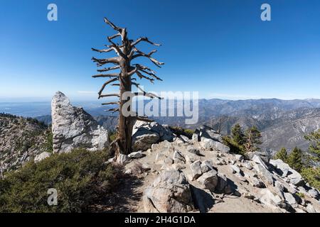 Ontario Peak im Angeles National Forest in der Nähe von Mt Baldy und Los Angeles, Kalifornien. Stockfoto