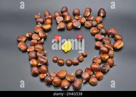 Kastanien mit niedlichen Gesichtern. Kreative DIY-Idee für die Herbstsaison. Kastanien in Form von geheimnisvollen Lebewesen, Monster. Symbol des Herbstes Stockfoto