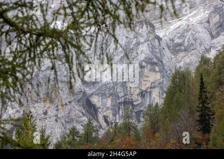 Felswand in der Nähe der Straße über den Vrsic-Pass in den Julischen Alpen im Nationalpark Triglav, Slowenien, 11.10.2021. Stockfoto