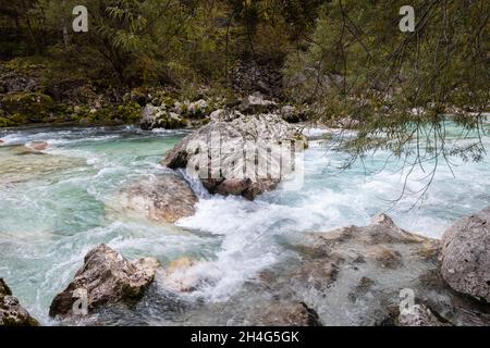 Der Fluss Soca fließt durch ein Tal der Julischen Alpen im Triglav Nationalpark, Slowenien, 11.10.2021. Stockfoto