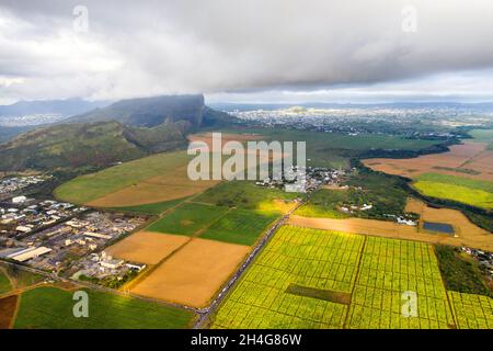 Blick aus der Höhe der auf der Insel Mauritius gelegenen Säfelder. Stockfoto