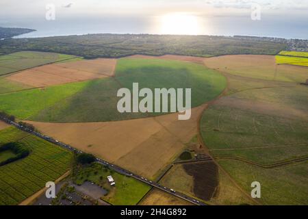 Blick aus der Höhe der auf der Insel Mauritius gelegenen Säfelder. Stockfoto