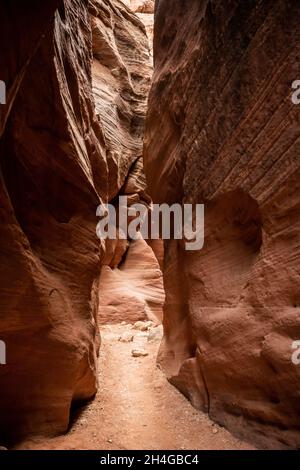 Geschnitzte Wände des Wire Pass Slot Canyon auf dem Weg zum Buckskin Gulch Stockfoto