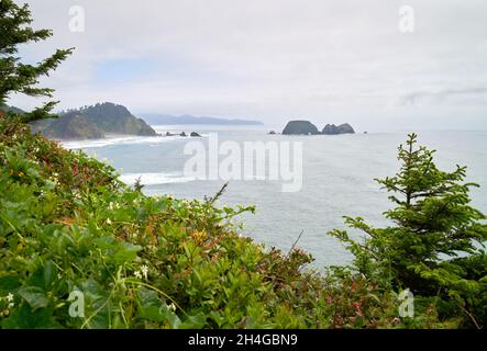 Three Arch Rocks Oregon. Blick auf das Tierschutzgebiet Three Arch Rocks vom Cape Meares Leuchtturm an der Küste von Oregon, USA. Stockfoto