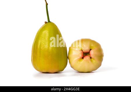 Zwei reife und verzehrfertige Rosenäpfel, bekannt als Jambu Madu Deli, haben eine grüne Farbe und einen sehr süßen Geschmack. Diese Art kommt aus Deli Indonesien. Stockfoto