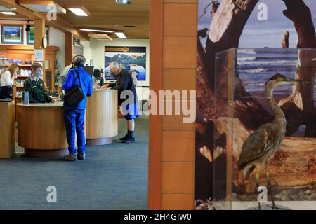 Innenansicht des Besucherzentrums / Wilderness Information Center des Olympic National Park.Port Angeles.Washington.USA Stockfoto