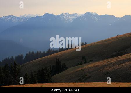 Der Blick auf den Olympic Mountain in der Abenddämmerung von der Turban Ridge im Olympic National Park.Washington State.USA Stockfoto