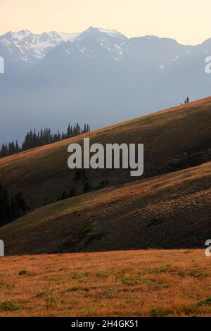 Der Blick auf den Olympic Mountain in der Abenddämmerung von der Turban Ridge im Olympic National Park.Washington State.USA Stockfoto