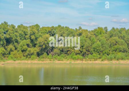 Schöne Aussicht auf Staunton River State Park in Halifax County, Virginia Stockfoto