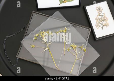 Rahmen mit getrockneten gepressten Blumen auf dem Tisch Stockfoto