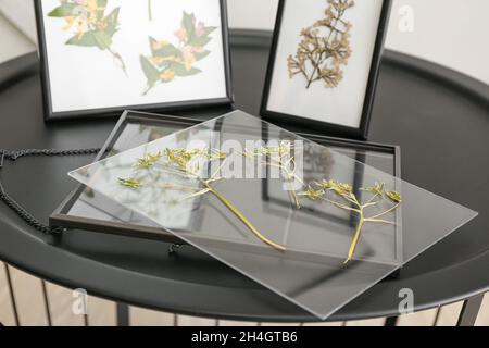 Rahmen mit getrockneten, gepressten Blumen auf dem Tisch im Zimmer Stockfoto