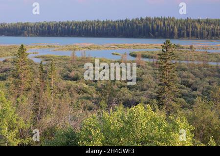 Weaselhead Flats Landschaftsbild, ein Delta, in dem der Elbow River in das Glenmore Reservoir in Calgary, Kanada fließt Stockfoto