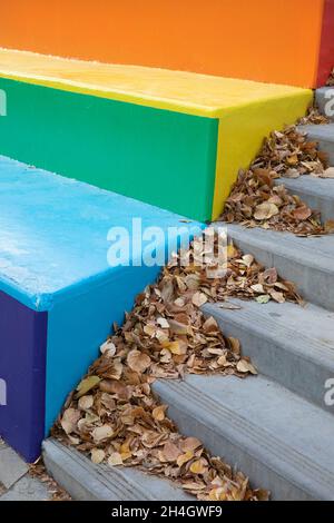 Im Herbst sind auf dem Campus der University of Calgary, Alberta, Kanada, Treppen in Regenbogenfarben mit gefallenen Blättern bemalt Stockfoto