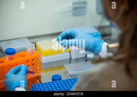 Medizinischer Labormitarbeiter, der Reaktionsgefäße mit Proben hält, Essen, Nordrhein-Westfalen, Deutschland Stockfoto