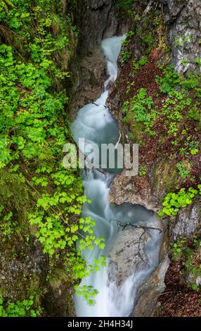 Gebirgsbach, der durch eine enge Schlucht fließt, Schlucht mit Fluss, Wolfsklamm, Stans, Tirol, Österreich Stockfoto