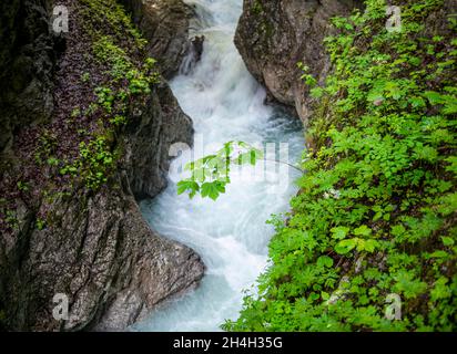 Gebirgsbach, der durch eine enge Schlucht fließt, Schlucht mit Fluss, Wolfsklamm, Stans, Tirol, Österreich Stockfoto