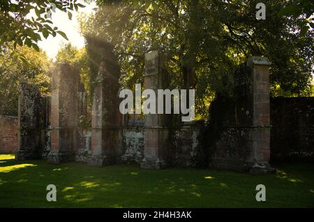 Ehemalige Klosteranlage St. Peter und Paul, Ruinen der Klosterkirche, Kloster Hirsau, Schwarzwald, Baden-Württemberg, Deutschland Stockfoto