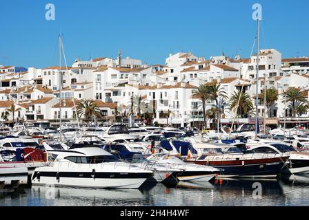 Sportboote liegen in der Marina Puerto Banus, Marbella, Spanien. Stockfoto