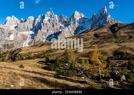 CIMON della Pala, Pala Group, Parco Naturale Paneveggio Pale di San Martino, Rollepass, Trentino, Italien Stockfoto