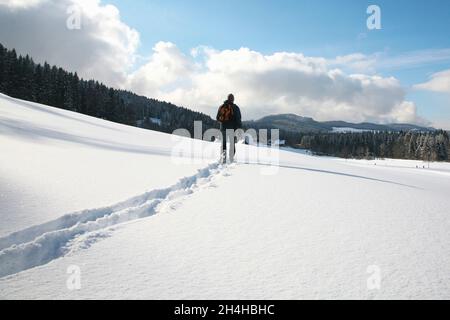 Einsamer Mann mit Schneeschuhen durchläuft den Tiefschnee bei Hinterzarten im Schwarzwald Stockfoto