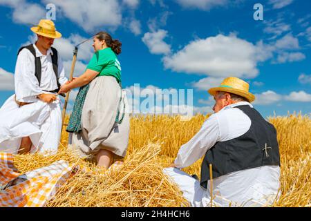 Muzlja, Vojvodina, Serbien, - 03. Juli 2021; XXXVIII traditionell Weizenernte. Mann und Frau binden die Sense mit einem Seil, bereiten sie für die Ernte vor Stockfoto