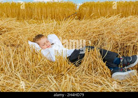 Muzlja, Vojvodina, Serbien, - 03. Juli 2021; XXXVIII traditionell Weizenernte. Der kleine Smiley liegt in frisch gemähtem Heu, um sich auszuruhen. Stockfoto