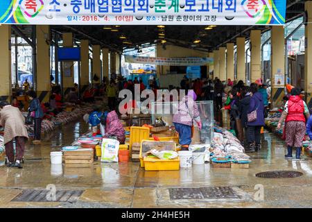 Busan, Südkorea - 25. März 2016: Business Street Seafood. Der Handelsmarkt Meer Köstlichkeiten. Stockfoto