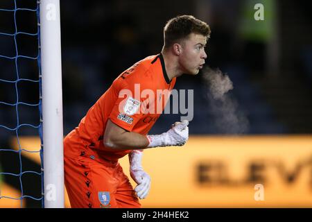 Sheffield, England, 2. November 2021. Bailey Peacock-Farrell von Sheffield am Mittwoch während des Spiels der Sky Bet League 1 in Hillsborough, Sheffield. Bildnachweis sollte lauten: Isaac Parkin / Sportimage Kredit: Sportimage/Alamy Live News Stockfoto