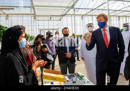 Abu Dhabi, 03. November 2021, König Willem-Alexander der Niederlande bei Pure Harvest in Abu Dhabi, am 03. November 2021, produziert Pure Harvest für einen Arbeitsbesuch inmitten der Wüste Tomaten, Erdbeeren und Salat auf nachhaltige Weise, Die verwendeten Technologien und das Know-how zur Entwicklung des Gewächshauses wurden von verschiedenen niederländischen Parteien bereitgestellt.Foto: Albert Nieboer/Netherlands OUT/Point de Vue OUT Stockfoto