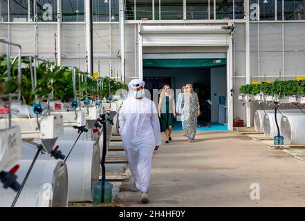 Abu Dhabi, 03. November 2021, Königin Maxima der Niederlande bei Pure Harvest in Abu Dhabi, am 03. November 2021, produziert Pure Harvest für einen Arbeitsbesuch inmitten der Wüste Tomaten, Erdbeeren und Salat auf nachhaltige Weise, Die verwendeten Technologien und das Know-how zur Entwicklung des Gewächshauses wurden von verschiedenen niederländischen Parteien bereitgestellt.Foto: Albert Nieboer/Netherlands OUT/Point de Vue OUT Stockfoto