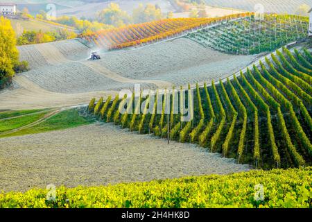 Die malerische Vinyard-Landschaft von Piemonte Langhe-Roero und Monferrato, UNESCO-Weltkulturerbe, Italien. Stockfoto