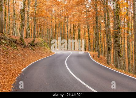 Eingebettet in die wunderschönen Abruzzen, Latium und den Molise Nationalpark, ist Forca d'Acero für seine Herbstfarben berühmt Stockfoto