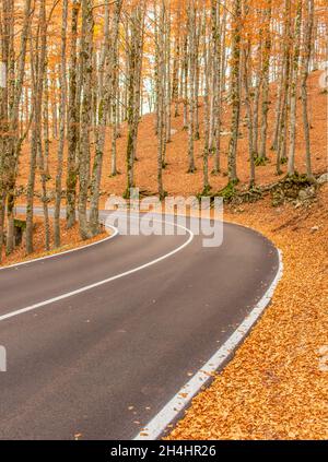 Eingebettet in die wunderschönen Abruzzen, Latium und den Molise Nationalpark, ist Forca d'Acero für seine Herbstfarben berühmt Stockfoto