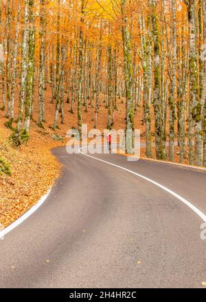 Eingebettet in die wunderschönen Abruzzen, Latium und den Molise Nationalpark, ist Forca d'Acero für seine Herbstfarben berühmt Stockfoto