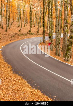 Eingebettet in die wunderschönen Abruzzen, Latium und den Molise Nationalpark, ist Forca d'Acero für seine Herbstfarben berühmt Stockfoto