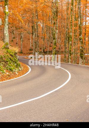 Eingebettet in die wunderschönen Abruzzen, Latium und den Molise Nationalpark, ist Forca d'Acero für seine Herbstfarben berühmt Stockfoto