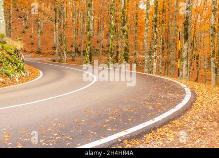 Eingebettet in die wunderschönen Abruzzen, Latium und den Molise Nationalpark, ist Forca d'Acero für seine Herbstfarben berühmt Stockfoto