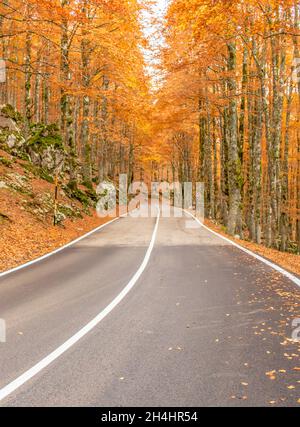 Eingebettet in die wunderschönen Abruzzen, Latium und den Molise Nationalpark, ist Forca d'Acero für seine Herbstfarben berühmt Stockfoto