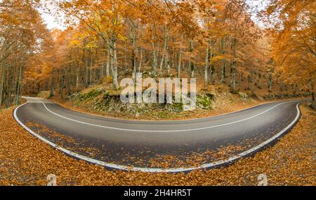 Eingebettet in die wunderschönen Abruzzen, Latium und den Molise Nationalpark, ist Forca d'Acero für seine Herbstfarben berühmt Stockfoto