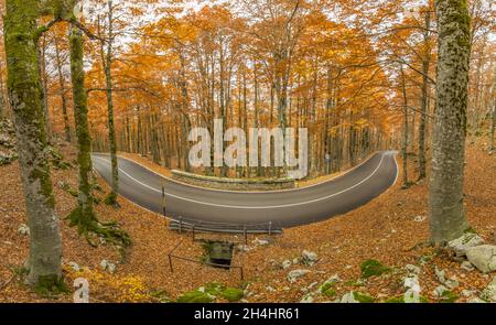 Eingebettet in die wunderschönen Abruzzen, Latium und den Molise Nationalpark, ist Forca d'Acero für seine Herbstfarben berühmt Stockfoto