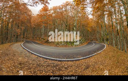 Eingebettet in die wunderschönen Abruzzen, Latium und den Molise Nationalpark, ist Forca d'Acero für seine Herbstfarben berühmt Stockfoto