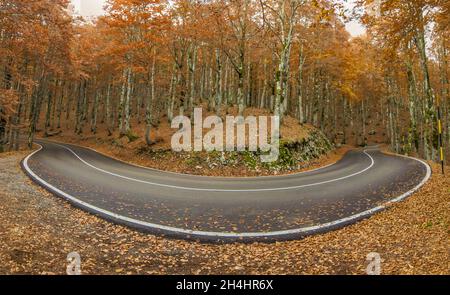 Eingebettet in die wunderschönen Abruzzen, Latium und den Molise Nationalpark, ist Forca d'Acero für seine Herbstfarben berühmt Stockfoto