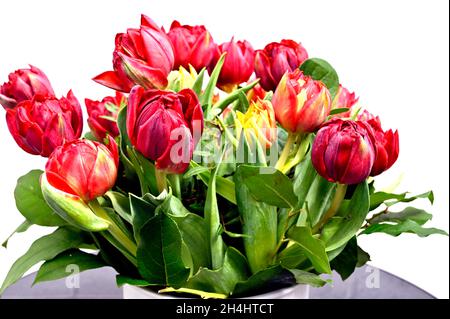 Bunte Tulpenbüschel; Bunter Tulpenstrauß Stockfoto