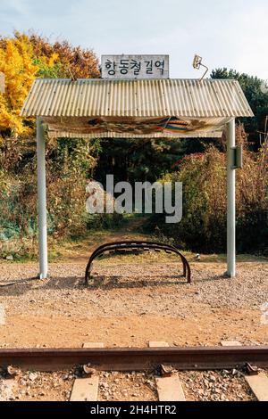 Seoul, Korea - 2. November 2021 : Hangdong Railroad im Herbst Stockfoto