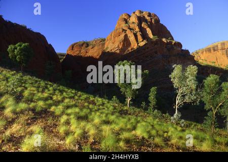 Blick in Richtung Echidna Chasm, Purnululu National Park, Western Australia Stockfoto