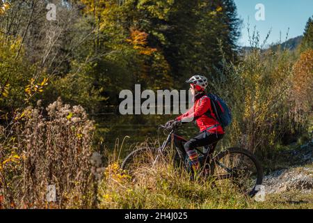 Eine hübsche ältere Frau fährt ihr Elektrofahrrad in einem bunten Herbstwald mit goldenem Laub Stockfoto