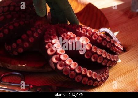 kraken-Tentakeln im Stil von pulpo a feira, typisch für Galicien, Spanien. Stockfoto