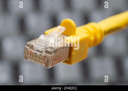 LAN-Netzwerkkabel in Gelb mit Tastaturhintergrund Stockfoto