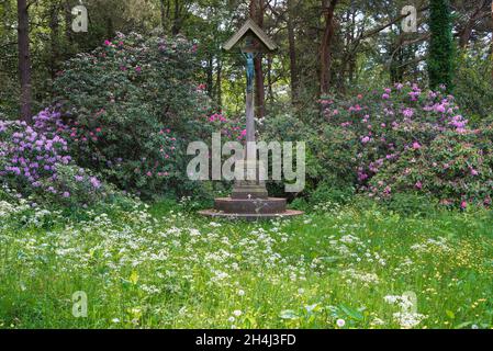 Kruzifix, Blick im Sommer auf das war Memorial auf der Wildblumenwiese in den Harrogate Valley Gardens, North Yorkshire, England, Großbritannien Stockfoto